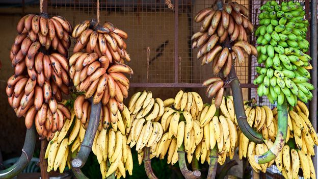 Where bananas are considered sacred
