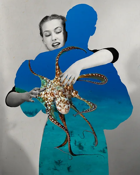 BBC/Javier Hirschfeld/Getty Images Finding a meaningful connection with an animal helps some to heal their sense of isolation from the natural world (Credit: BBC/Javier Hirschfeld/Getty Images)