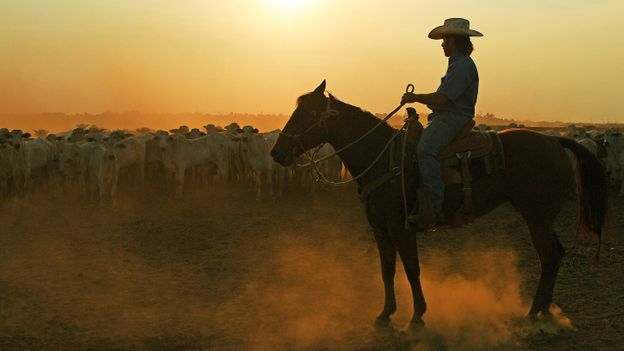 The tree cutting emissions from Brazilian beef The tree cutting emissions from Brazilian beef
