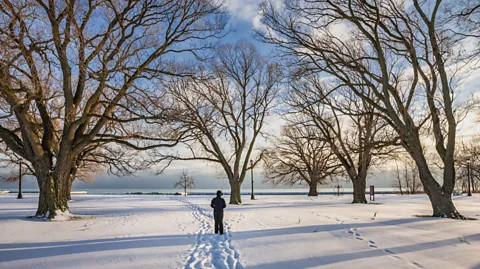 Benedek/Getty Images While most people visit Toronto in summer, winter can be a gorgeous and less crowded option (Credit: Benedek/Getty Images)