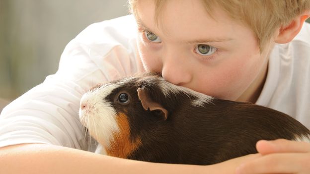 How pets give your kids a brain boost How pets give your kids a brain boost