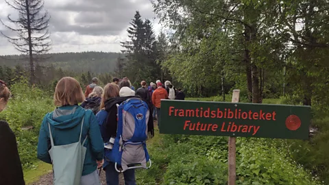 Richard Fisher For the next century, anyone can visit the forest on publicly-accessible land (Credit: Richard Fisher)