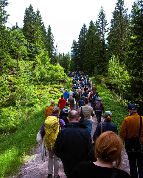 Future Library/Jola McDonald The procession on 12 June – authors, artists, Oslo residents, families and their pets (Credit: Future Library/Jola McDonald)
