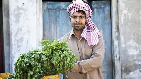 triloks/Getty Images Coriander is an ubiquitous ingredient in Indian cuisine (Credit: triloks/Getty Images)