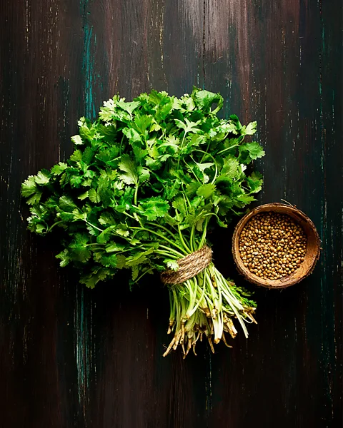Galina Loginova/Getty Images Every part of the coriander plant – from root to leaf – can be used in cooking (Credit: Galina Loginova/Getty Images)