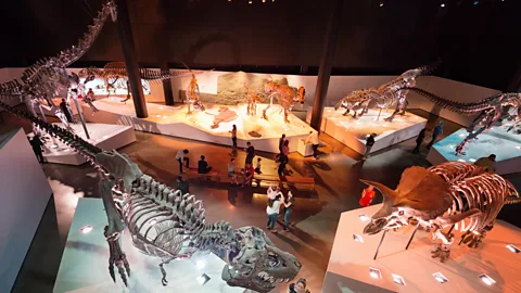 Alamy Nearly every iconic dinosaur in North American natural history museums is from the western half of the continent (Credit: Alamy)