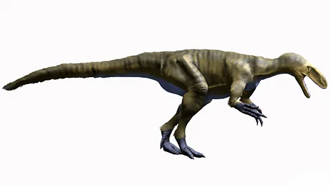 Alamy It's thought that Dryptosaurus used its powerful jaws and large hands to catch and eat its prey (Credit: Alamy)