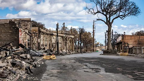 American Photo Archive/Alamy The recent Maui wildfires were one of the deadliest in US history (Credit: American Photo Archive/Alamy)