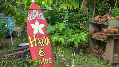 Christopher Belette/Alamy Hawaians say supporting locally owned shops and restaurants is one of the best things tourists can do right now (Credit: Christopher Belette/Alamy)