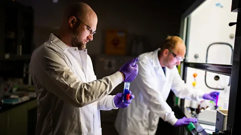 Craig Fritz Scientists at Sandia National Laboratories are working on a material that can absorb forever chemicals (Credit: Craig Fritz)