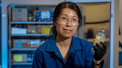 Stan Lim Environmental microbiologist Yujie Men is developing microbes that could biodegrade PFAS (Credit: Stan Lim)