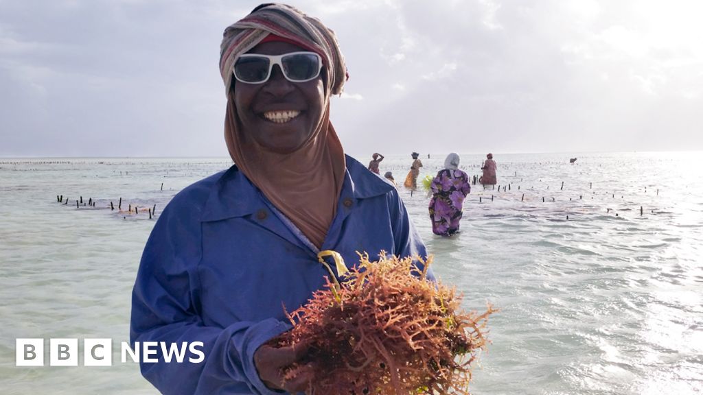 The crop that put women on top in Zanzibar The crop that put women on top in Zanzibar