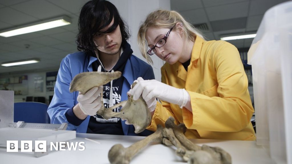 How are human remains identified?
