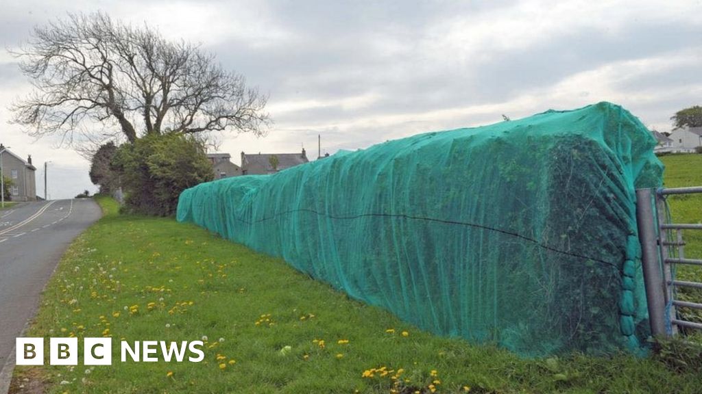 Anti-bird netting only for ‘exceptional circumstances’ Anti-bird netting only for ‘exceptional circumstances’