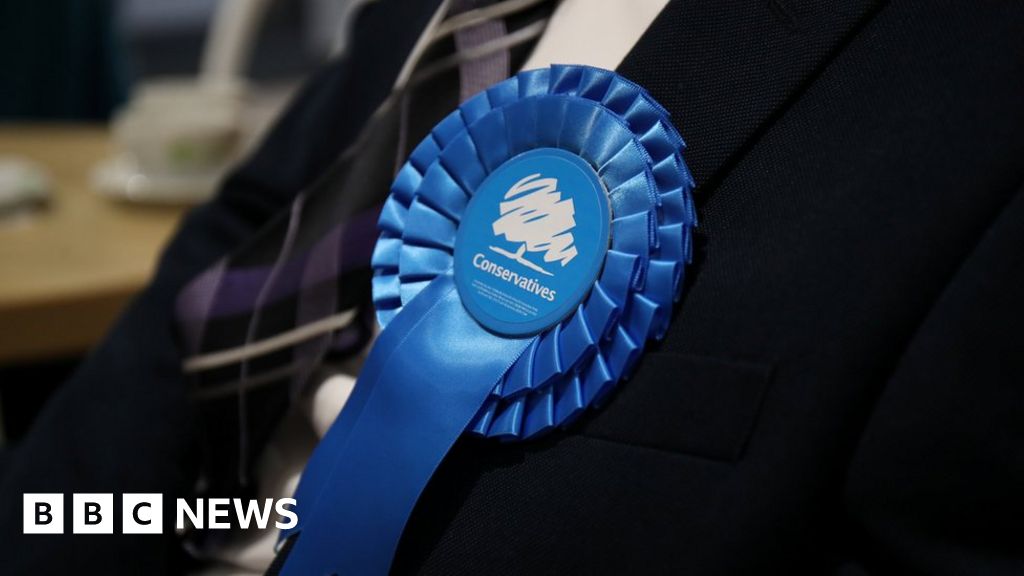 Conservative Party names discrimination inquiry chief Conservative Party names discrimination inquiry chief