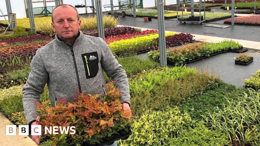 Millions of garden plants set to be binned