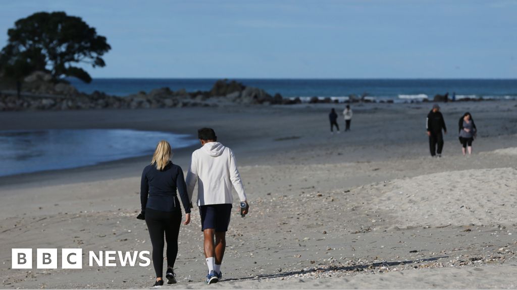 How did New Zealand become Covid-19 free? How did New Zealand become Covid-19 free?