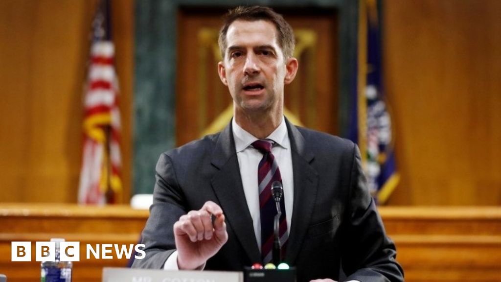 US Senator Tom Cotton defends slavery remarks
