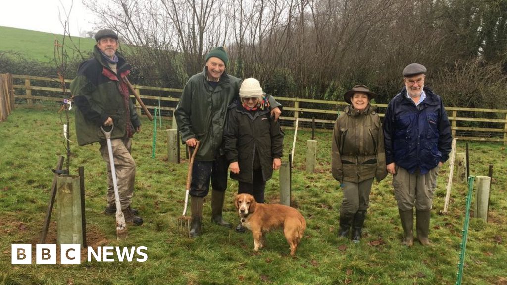 Ilminster land donations wanted for tree project Ilminster land donations wanted for tree project