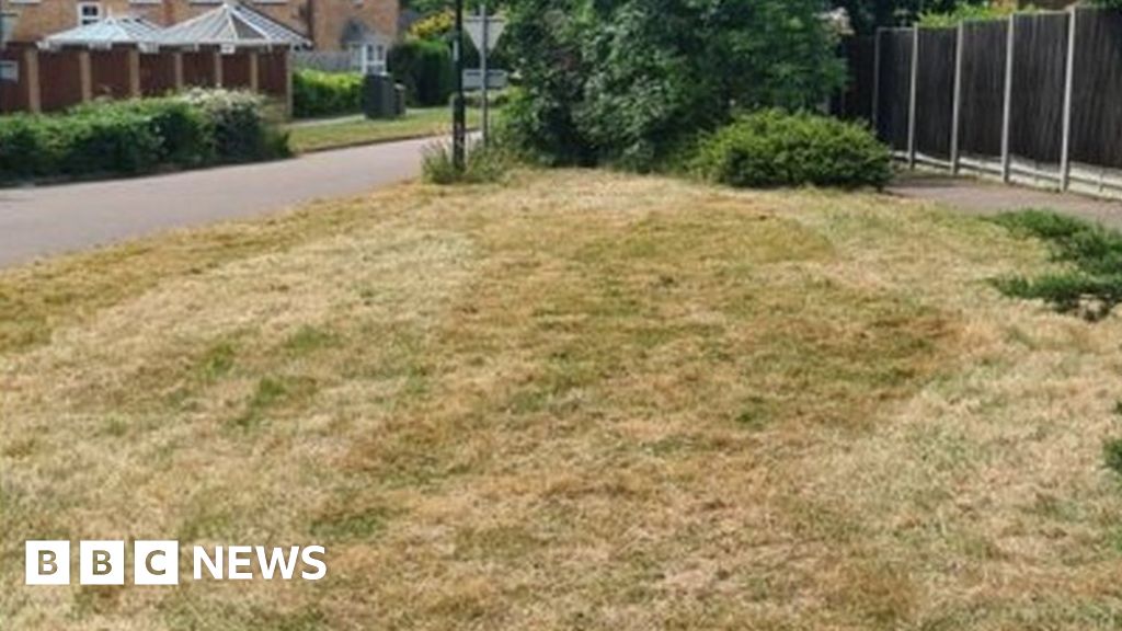 Crawley wildflower verges mowed ‘by mistake’, council admits Crawley wildflower verges mowed ‘by mistake’, council admits