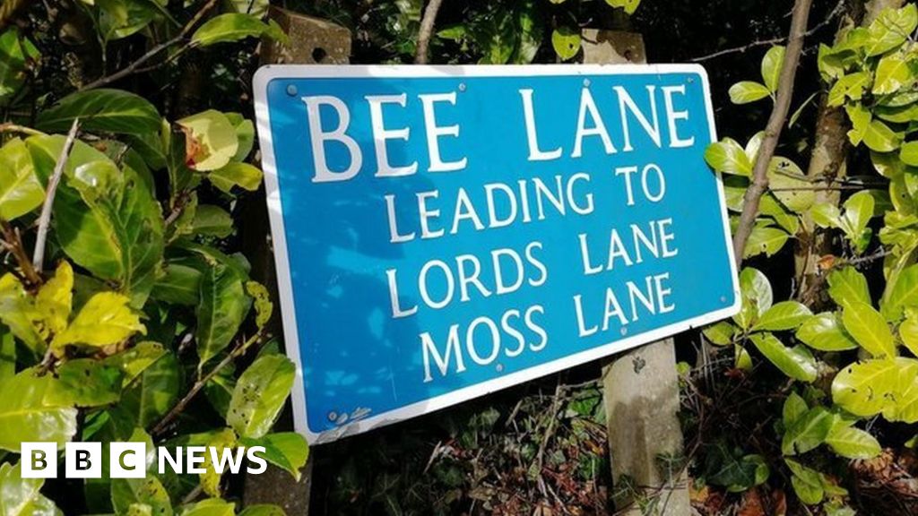 Government to make final decision Government to make final decision