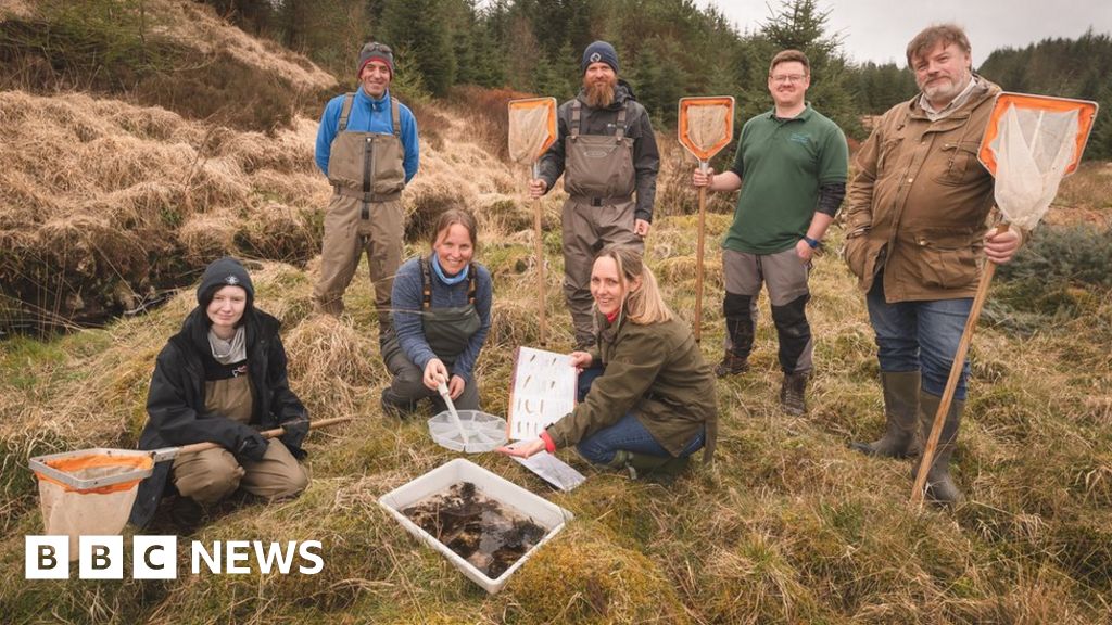 Tracking the travel itinerary of the River Dee’s salmon