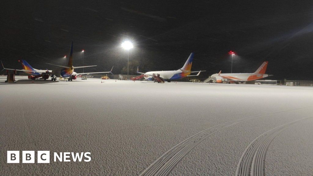 Snow, floods, playhouses and a beaver