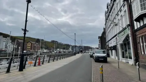 EMMA DRAPER/LDRS A street alongside a harbour marina, with a row of Victorian buildings that have a white facade on the right hand side of the street, and a railing and the boats in the the harbour on the left side. In the background are hills across the water.