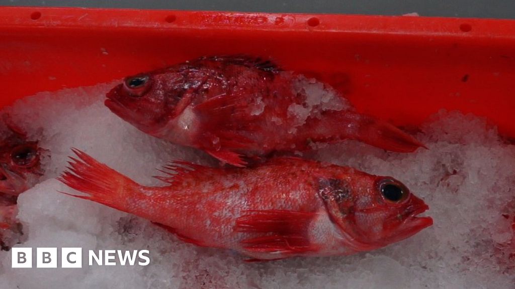 Fishy smell about Namibian tax affairs Fishy smell about Namibian tax affairs