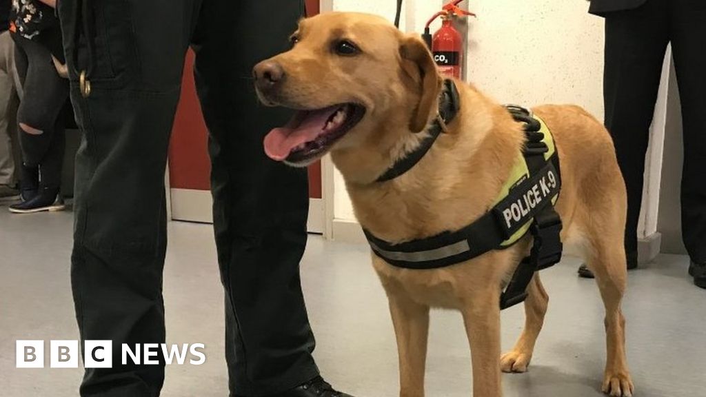 Amnesty anger, MLA pay and ruff justice Amnesty anger, MLA pay and ruff justice