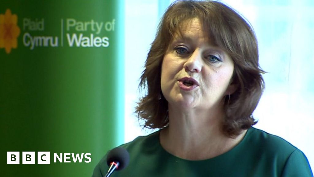 Plaid Cymru’s Leanne Wood attacks Labour’s ‘top-down’ socialism