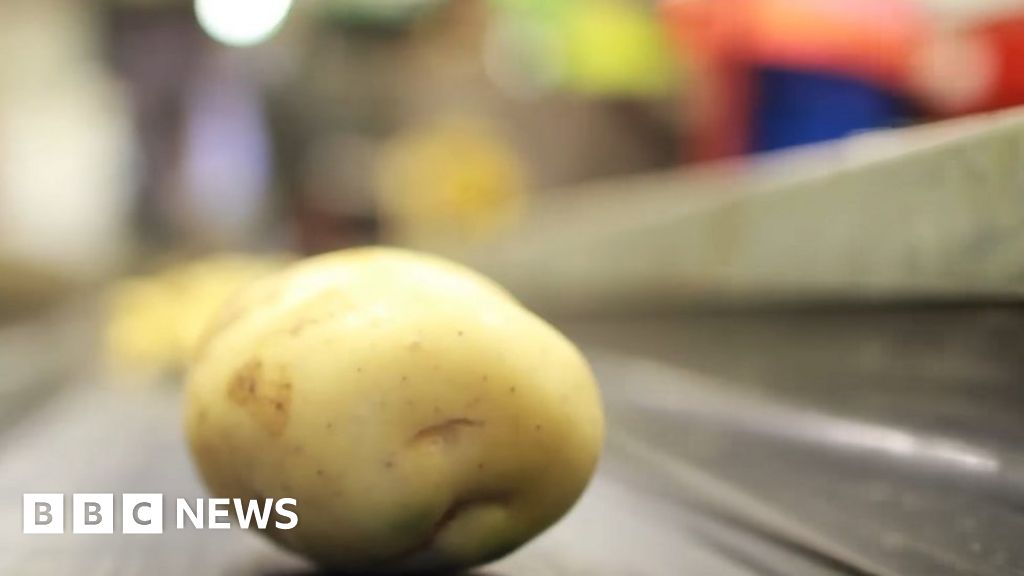 Could plant-based plastics help tackle waste pollution?