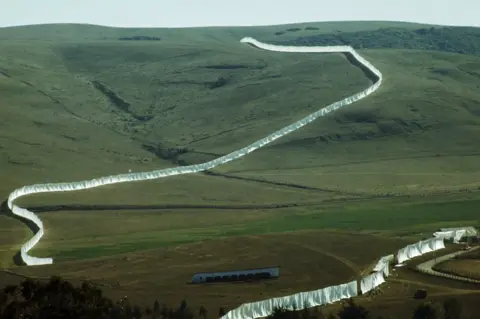 tim page Running Fence, California