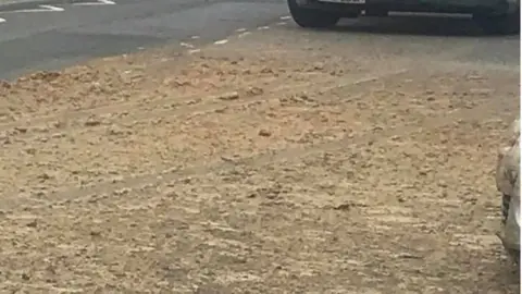 Rhonda Montgonery waste on the road