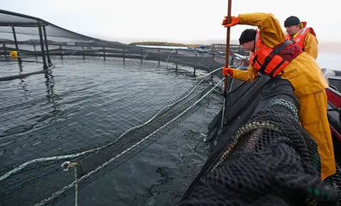 Getty Images Salmon farming in Scotland