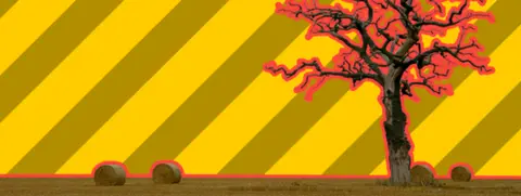 Farm with bales and ominous tree