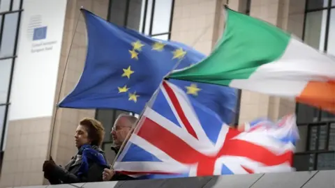 EPA Brexit flags