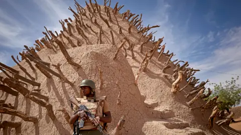 AFP A soldier of the Malian army patrols the archaeological site of the Tomb of Askia in Gao - 10 March 2020