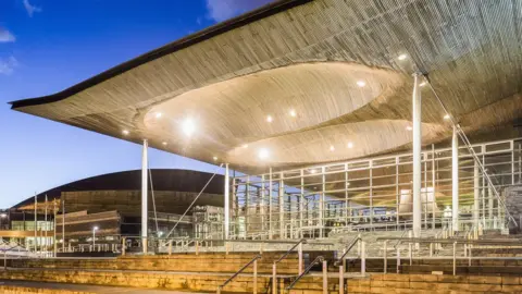 Getty Images senedd