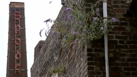 BBC The Spode site
