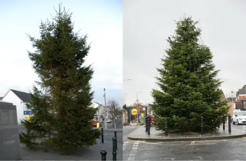 Banbridge Chronicle Banbridge Christmas trees
