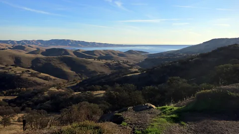 Dinosaur Point Road near Pacheco Pass. (Andy Murdock)