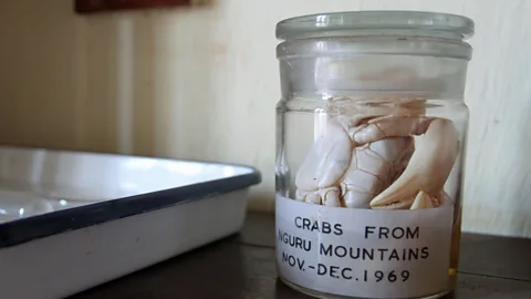 Rachel Nuwer Specimens in jars date back to the 1960s (Credit: Rachel Nuwer)