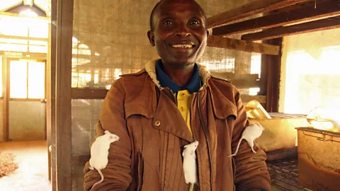 Rachel Nuwer Martin Kimweri and the lab mice he breeds (Credit: Rachel Nuwer)