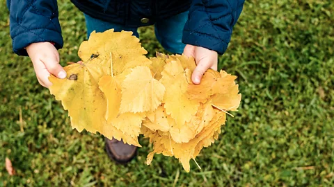 Getty People born in September get better exam results and are more likely to reach 100 years old (Credit: Getty)