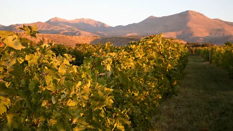 Paul Carstairs/Alamy There’s hope that Armenia could become the next emergent wine destination (Credit: Paul Carstairs/Alamy)