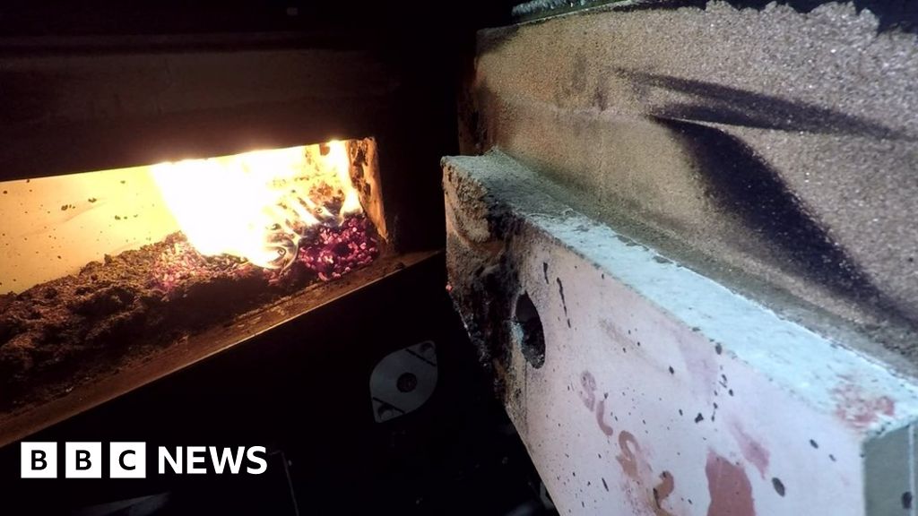 Arlene Foster ‘was told adviser delayed RHI cost controls’ Arlene Foster ‘was told adviser delayed RHI cost controls’