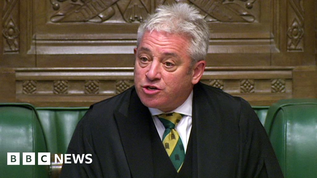 John Bercow ‘to quit as Speaker next summer’