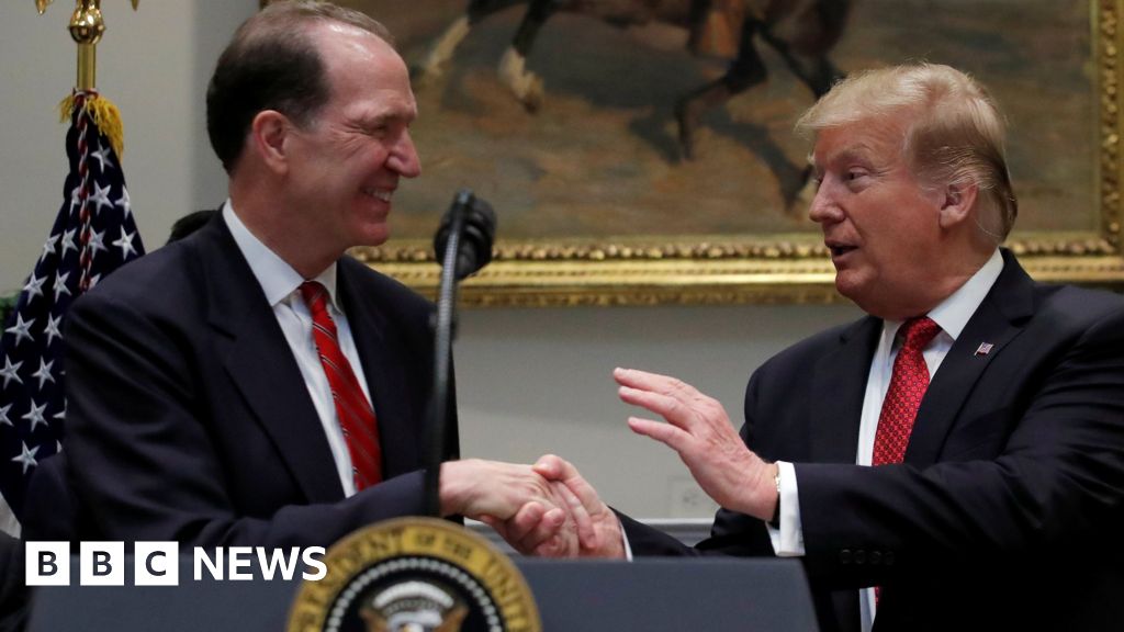 Trump backs World Bank critic Malpass for top job Trump backs World Bank critic Malpass for top job