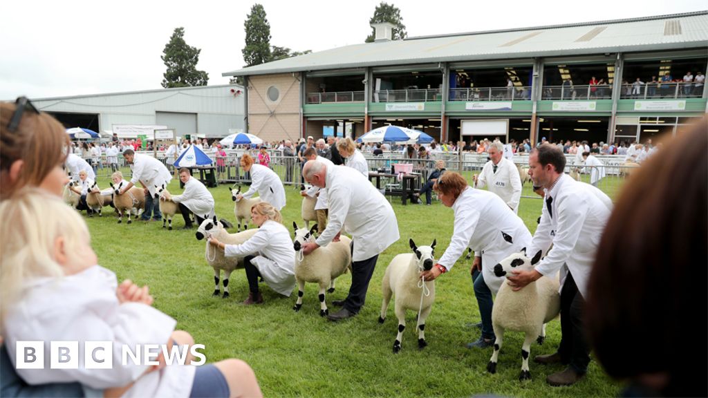 No-deal Brexit ‘would cause civil unrest’ in rural Wales No-deal Brexit ‘would cause civil unrest’ in rural Wales